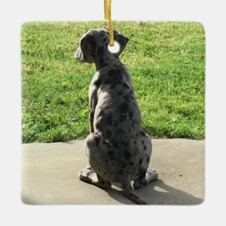Ornamento De Cerâmica A 1rua X-Mas de Great Dane