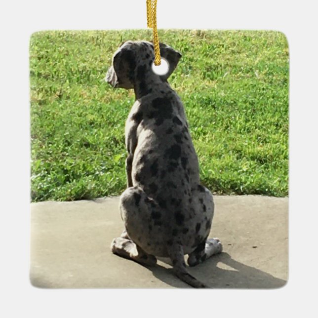 Ornamento De Cerâmica A 1rua X-Mas de Great Dane (Frente)