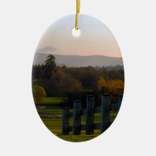 Ornamento De Cerâmica A Irlanda é bonita (Frente)