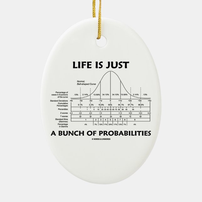 Ornamento De Cerâmica A vida é apenas um grupo das probabilidades (o (Verso)