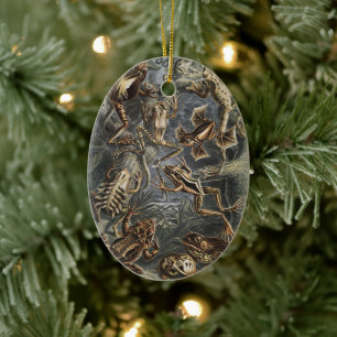 Ornamento De Cerâmica Academia Sombria Haeckel Estampa Vintage de Rã da