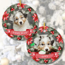 Acaricie meu primeiro cachorro de Natal