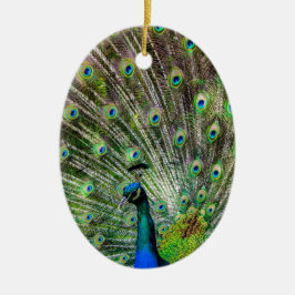 Ornamento De Cerâmica Acessórios de punho e penas impressionantes