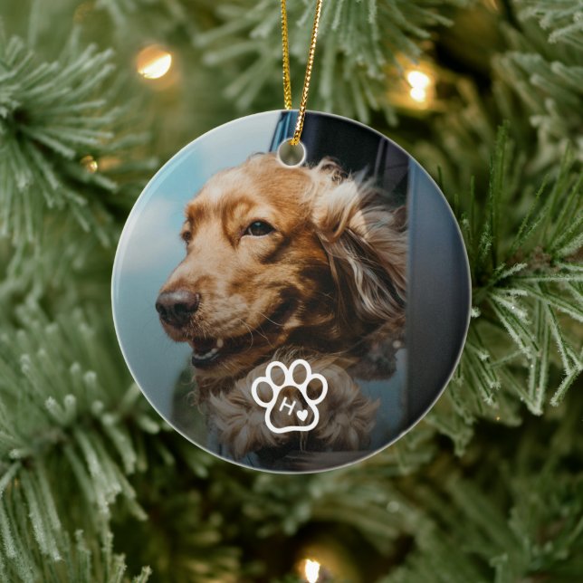 Ornamento De Cerâmica Add Your Own Photo Dog Pets Monogram (Árvore)