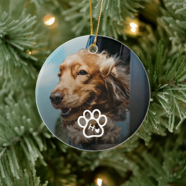 Ornamento De Cerâmica Add Your Own Photo Dog Pets Monogram (Árvore)