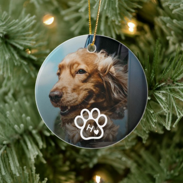 Ornamento De Cerâmica Add Your Own Photo Dog Pets Monogram (Árvore)