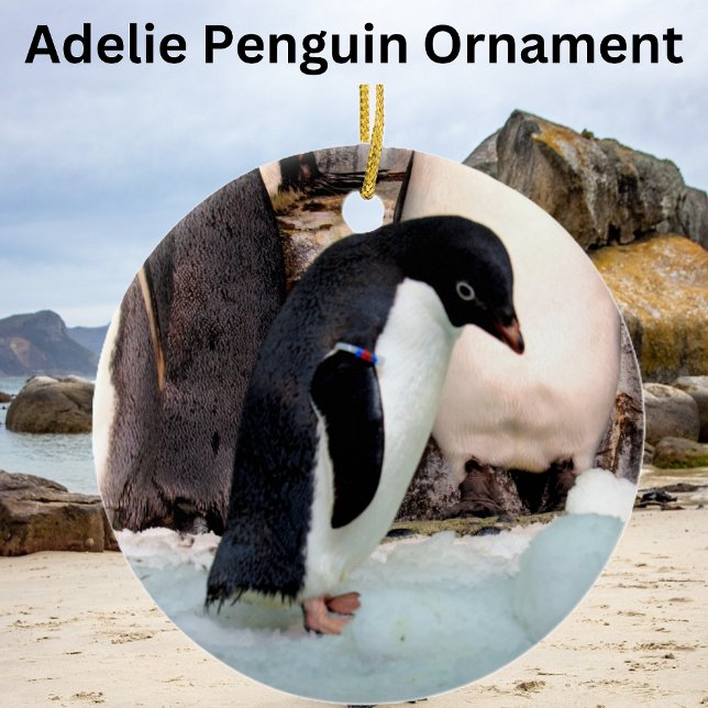 Ornamento De Cerâmica Adelie Penguin (Criador carregado)