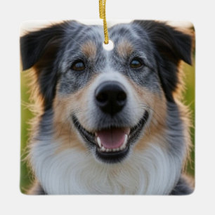 Ornamento De Cerâmica Adicionar Foto Pet Personalizar
