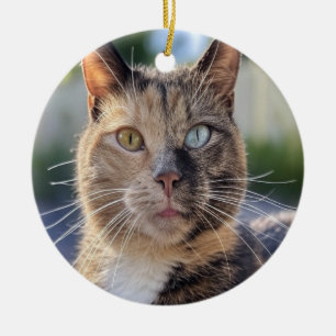 Ornamento De Cerâmica Adicionar Personalização de Foto de Cat
