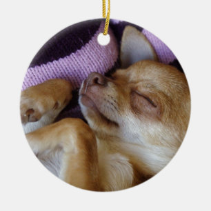 Ornamento De Cerâmica Adorável Cãozinho Chihuahua