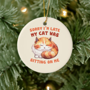 Ornamento De Cerâmica Adorável Laranja Tabby Cat. Desculpe-me por estar 