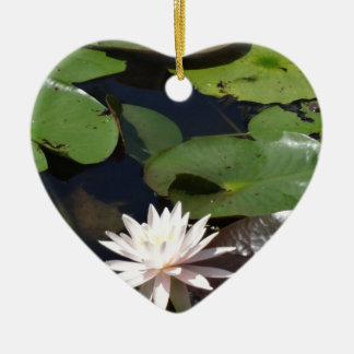Ornamento De Cerâmica Água Lily