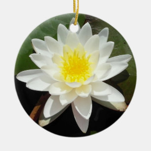 Ornamento De Cerâmica Água Lily
