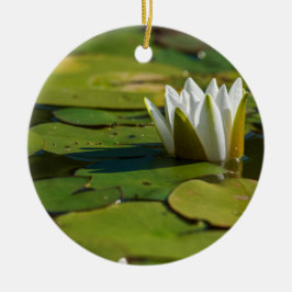 Ornamento De Cerâmica Água Lily Blossom