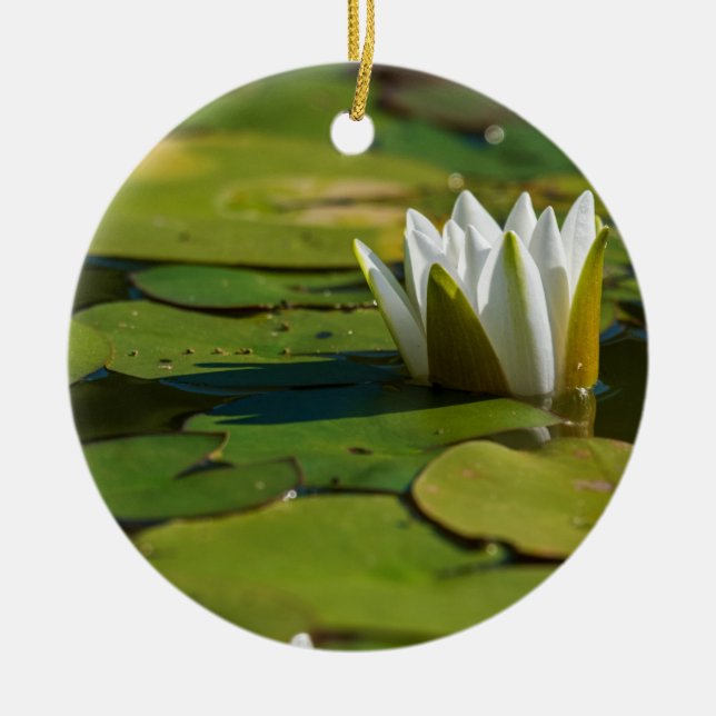 Ornamento De Cerâmica Água Lily Blossom (Frente)