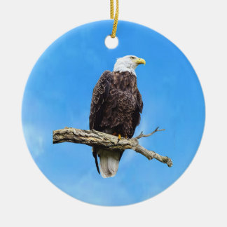 Ornamento De Cerâmica Águia Americana Empoleirada em um Galho