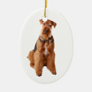 Ornamento De Cerâmica Airedale Terrier Ornament