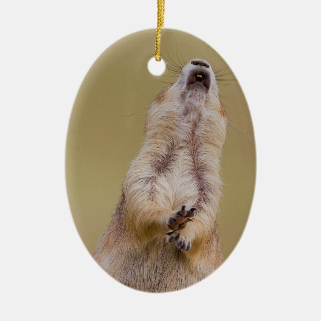 Ornamento De Cerâmica Alarme (Frente)