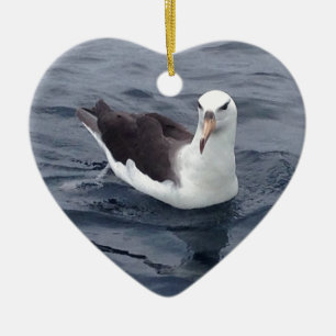 Ornamento De Cerâmica Albatroz tímido
