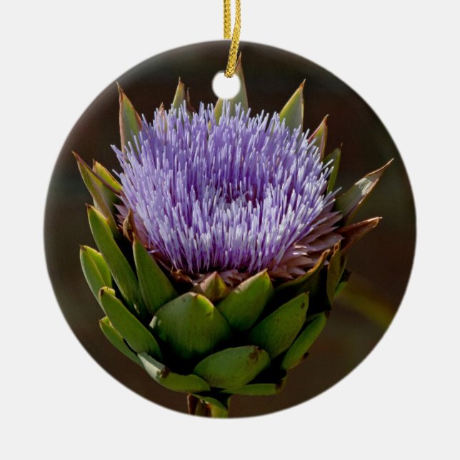 Ornamento De Cerâmica Alcachofra, Cynara Cardunculus, na flor (Frente)