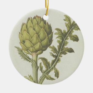 Ornamento De Cerâmica Alcachofra: Scolymus do Cynara, c.1568