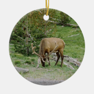Ornamento De Cerâmica Alces com Antlers de veludo