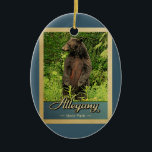 Ornamento De Cerâmica Alegany State Park Viagens vintage Bear<br><div class="desc">Viagens vintage de ornamento Alegany State Park com um urso preto sobre as pernas traseiras,  olhando para a floresta verde.</div>