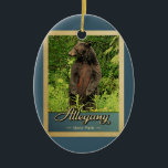 Ornamento De Cerâmica Alegany State Park Viagens vintage Bear<br><div class="desc">Viagens vintage de ornamento Alegany State Park com um urso preto sobre as pernas traseiras,  olhando para a floresta verde.</div>