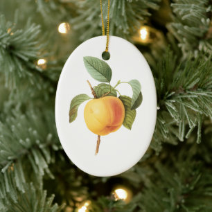 Ornamento De Cerâmica Alimento de Fruta Antiga, Maçã Calville por Redout
