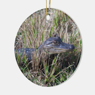 Ornamento De Cerâmica Alligator Florida Cute Baby