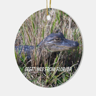 Ornamento De Cerâmica Alligator Saudações Da Flórida