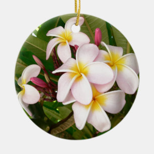 Ornamento De Cerâmica Aloha Frangipani Havaiano Flores de Plumeria
