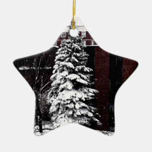 Ornamento De Cerâmica Altura em Pé