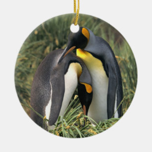 Ornamento De Cerâmica Amantes dos pinguins de rei