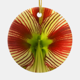 Ornamento De Cerâmica Amaryllis da borboleta
