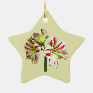 Ornamento De Cerâmica Amaryllis Sydney