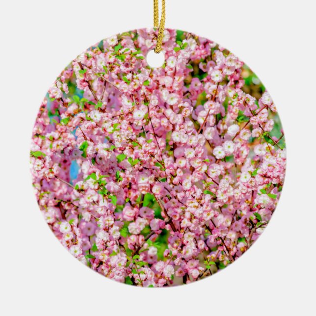 Ornamento De Cerâmica Ameixa de Flor (Frente)