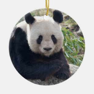 Ornamento De Cerâmica Amigo Giant Panda