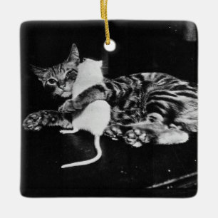 Ornamento De Cerâmica Amizade surpreendente - Cat Minnie e Mike Mouse