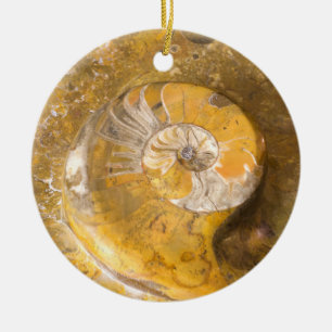 Ornamento De Cerâmica Ammonite Fossil Rock Nature Fotografia Cerâmica O
