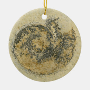 Ornamento De Cerâmica Amonite alemão com dendrites