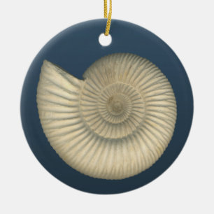 Ornamento De Cerâmica Amonite de Perisphinctes