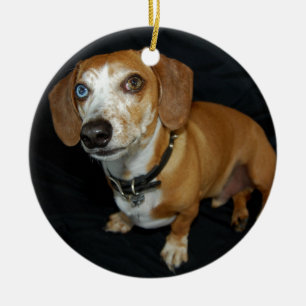 Ornamento De Cerâmica Amor do Dachshund