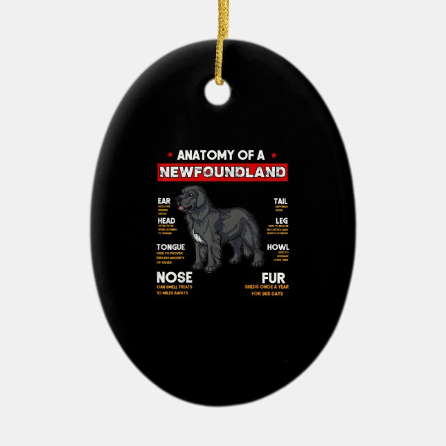 Ornamento De Cerâmica Anatomia De Cães De Terra Nova (Frente)