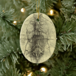 Ornamento De Cerâmica Anatomia Humana de Leonardo da Vinci, Torso Femini