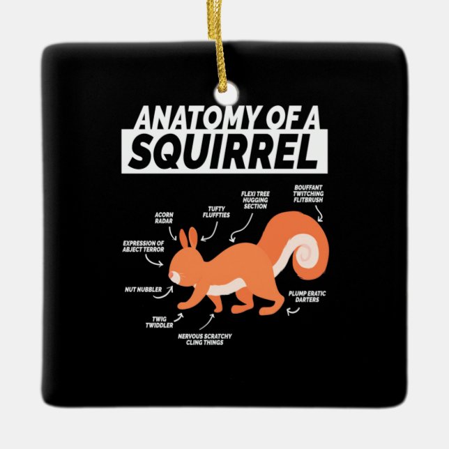 Ornamento De Cerâmica Anatomy Of A Squirrel (Frente)