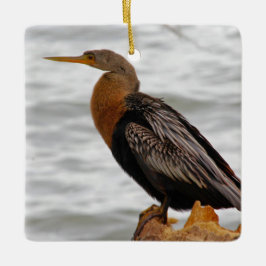 Ornamento De Cerâmica Anhinga de Vigília