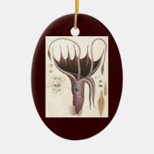 Ornamento De Cerâmica Animais da Vida Marinha Antiga, Lula Guarda-Chuva