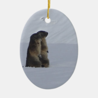 Ornamento De Cerâmica animais marmotas selvagens