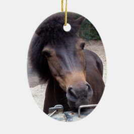 Ornamento De Cerâmica Animal, Cavalo, Pony